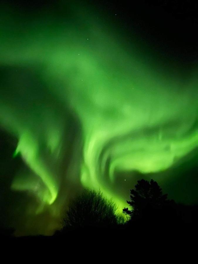 Golden Circle Domes - Glamping Experience Selfoss