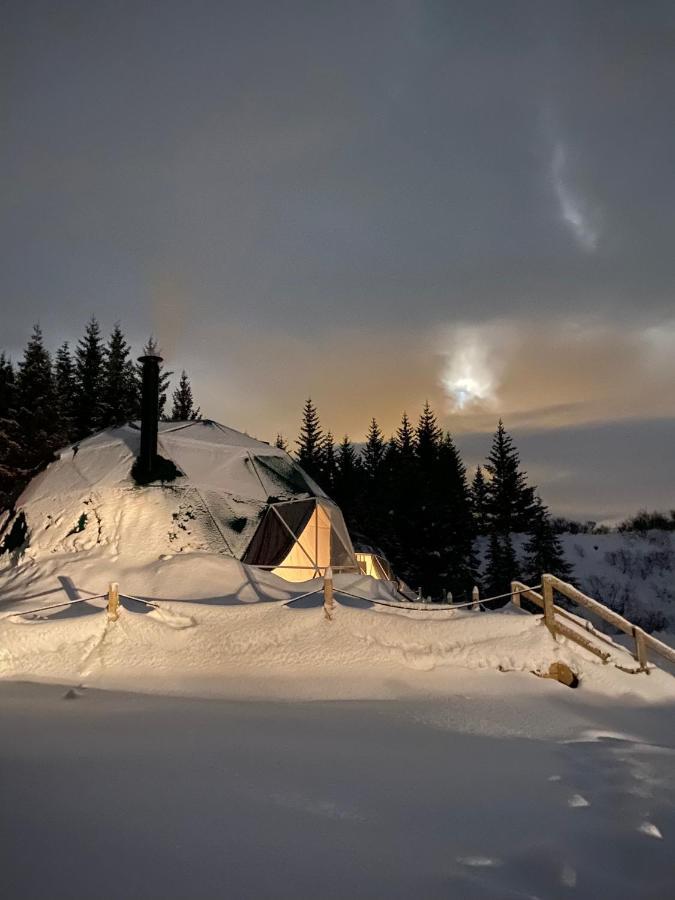 Golden Circle Domes - Glamping Experience Luxury tent *
