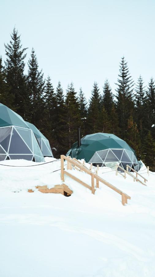 Luxury tent Golden Circle Domes - Glamping Experience *