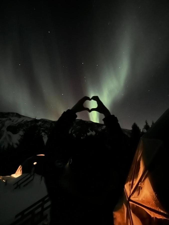 Luxury tent Golden Circle Domes - Glamping Experience Selfoss