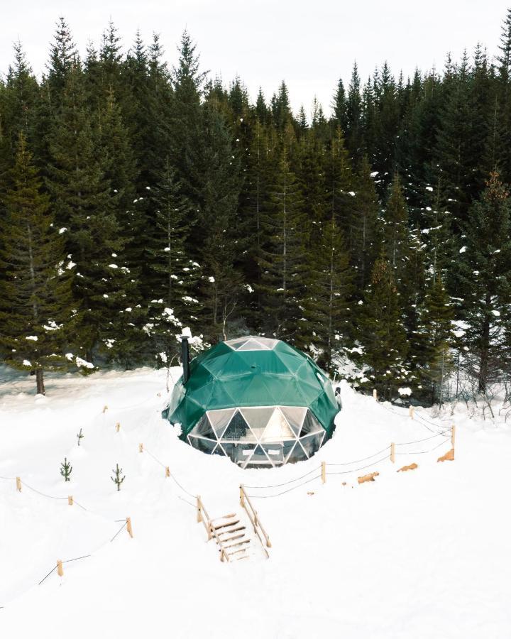 Golden Circle Domes - Glamping Experience Luxury tent *