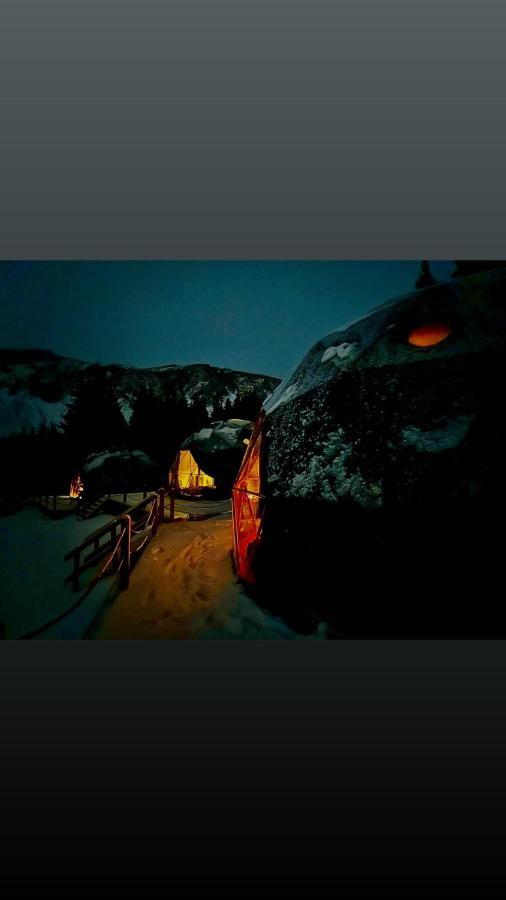 Golden Circle Domes - Glamping Experience Luxury tent *