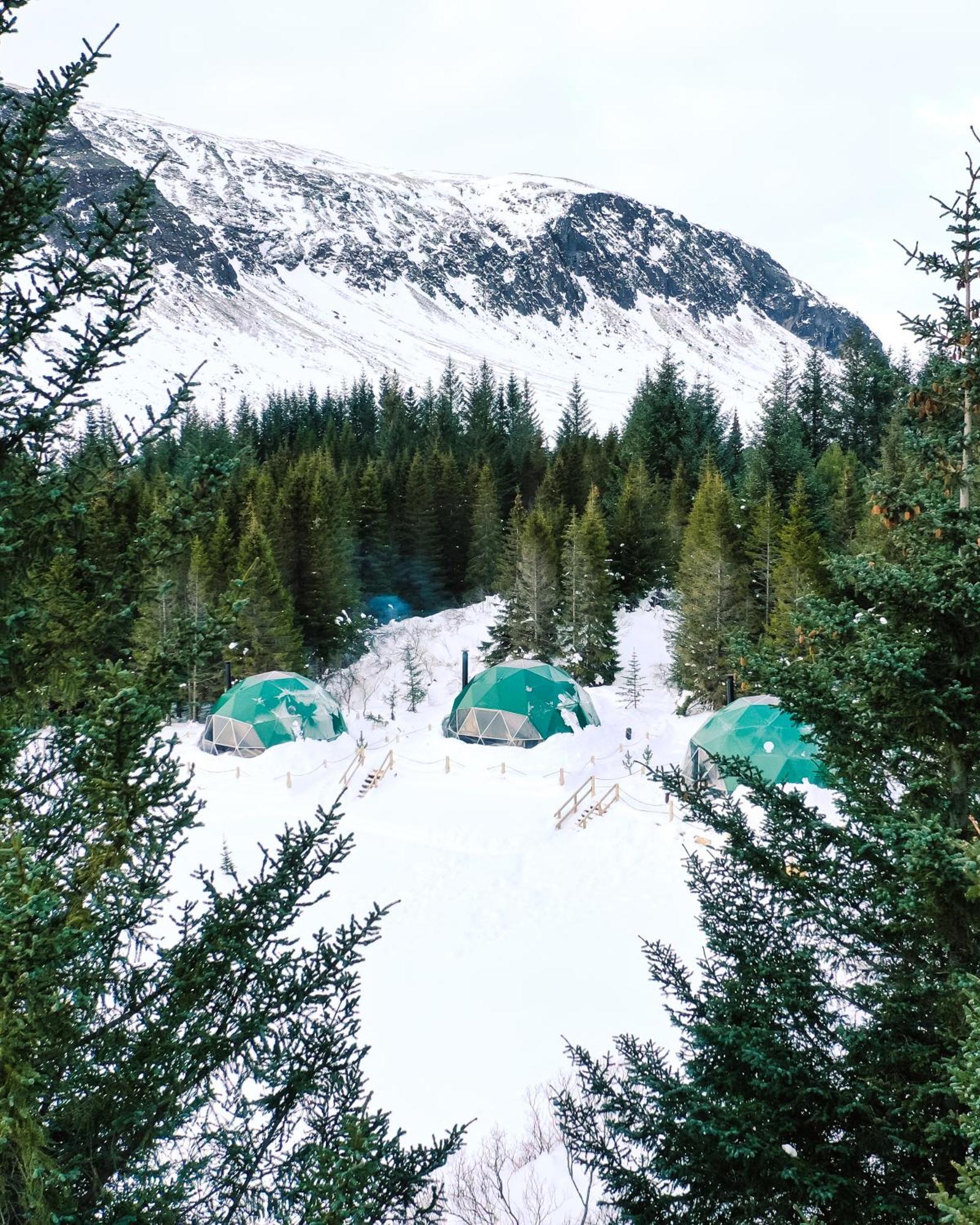 Golden Circle Domes - Glamping Experience Luxury tent